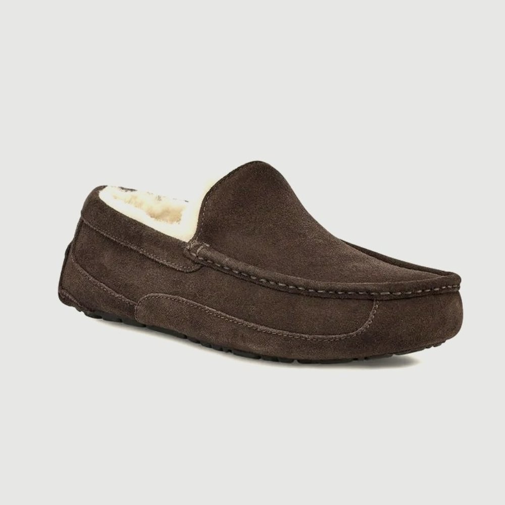 UGG ASCOT ESPRESSO BRAND NEW